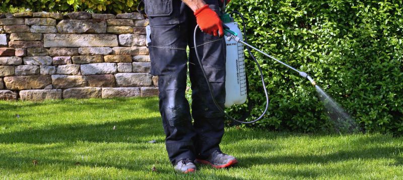 Arborist Spraying