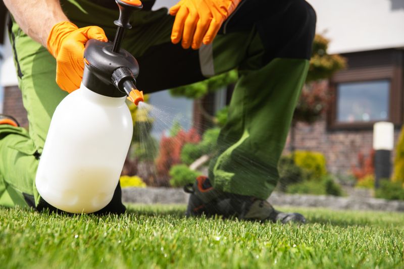 Arborist Spraying