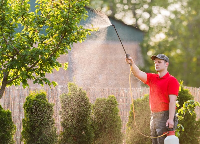 Arborist Spraying