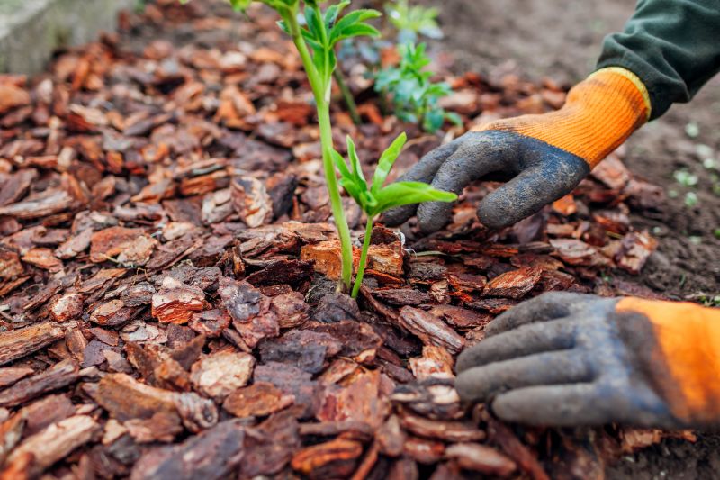 Bark Mulch Installation