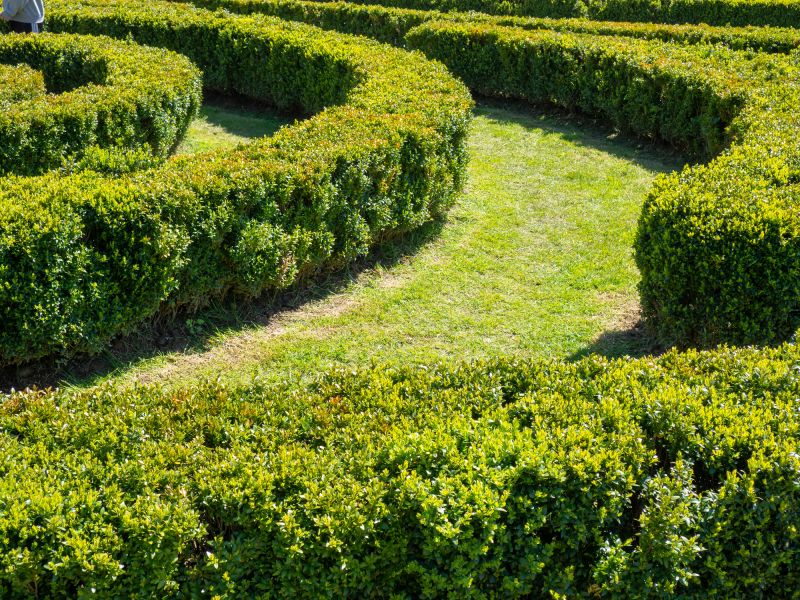 Bush Landscaping
