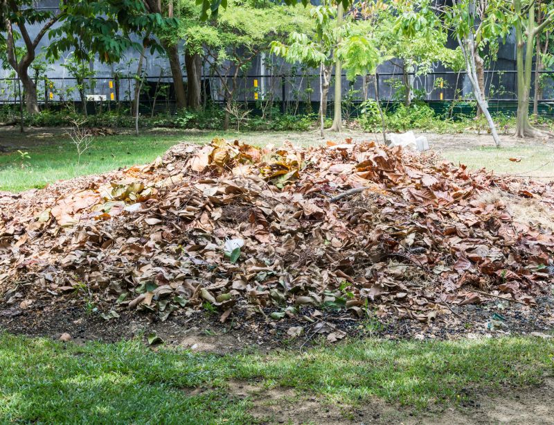 Bush Landscaping