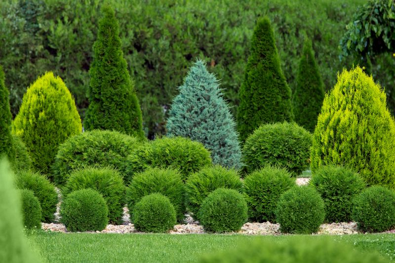 Bush Replacement
