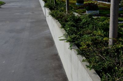 Cement Curbing Installation