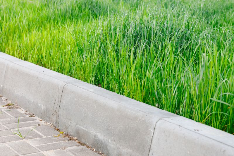 Concrete Edging Replacement