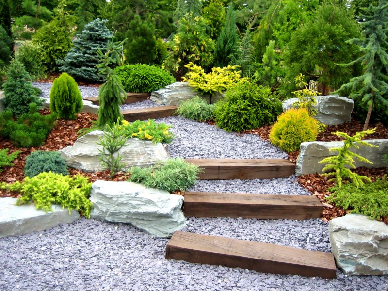 Deck Landscaping Service