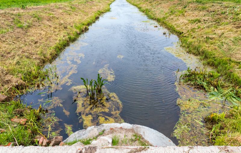 Ditch Clearing
