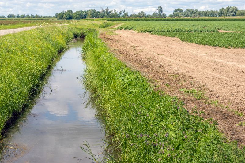 Ditch Clearing