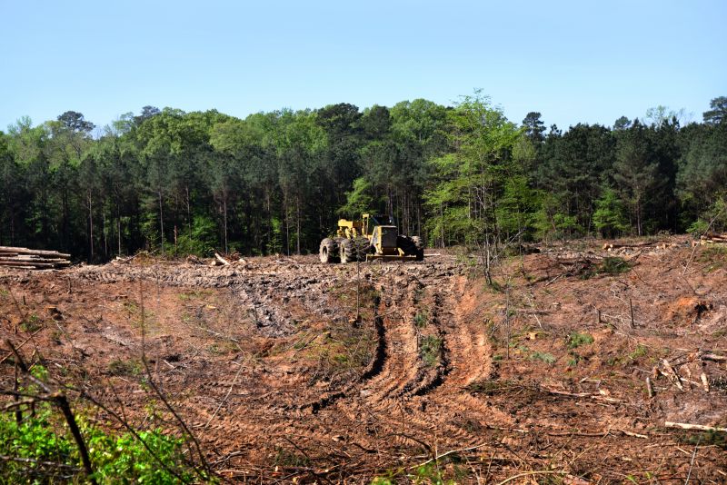 Ditch Clearing