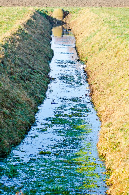 Ditch Clearing