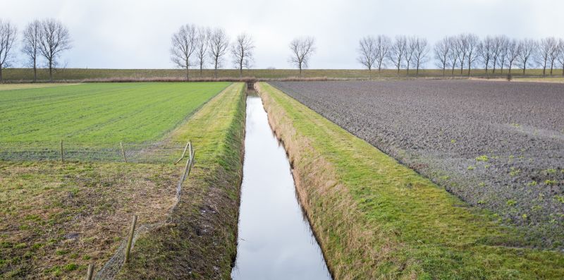Ditch Clearing