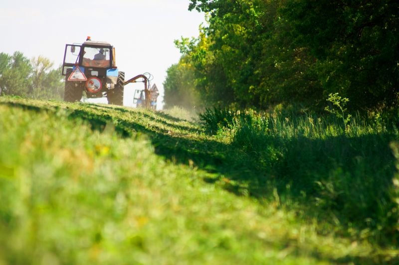 Ditch Clearing