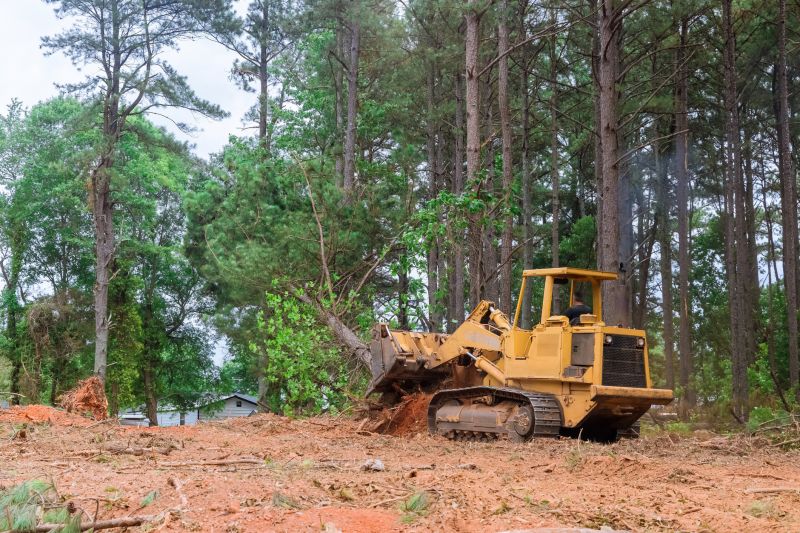 Ditch Clearing