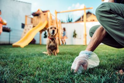 Dog Friendly Landscaping