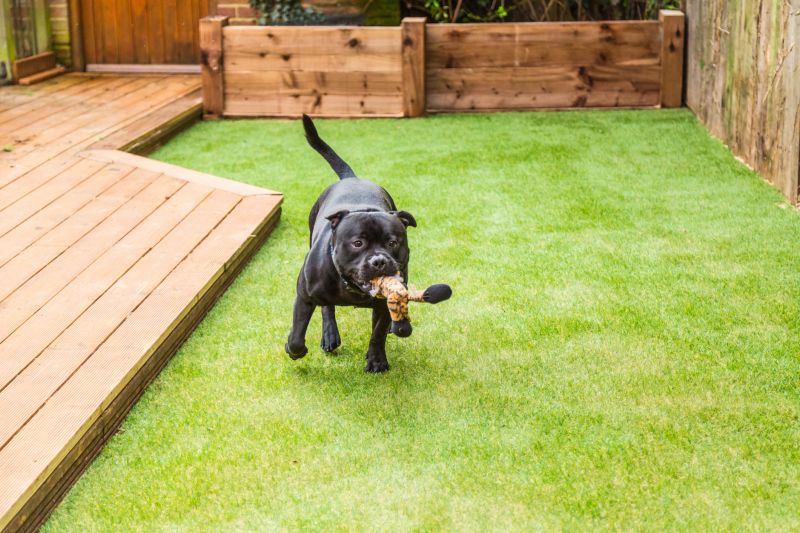 Dog Friendly Landscaping