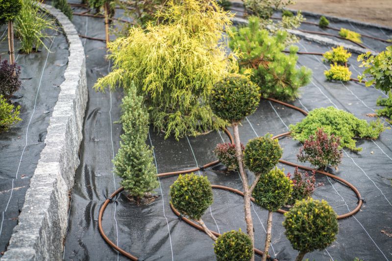Drought Resistant Landscaping