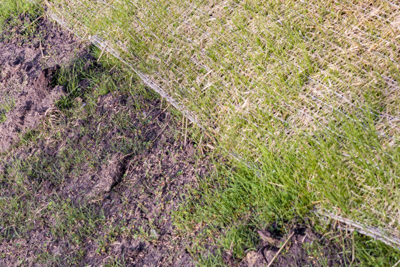 Erosion Control Installation