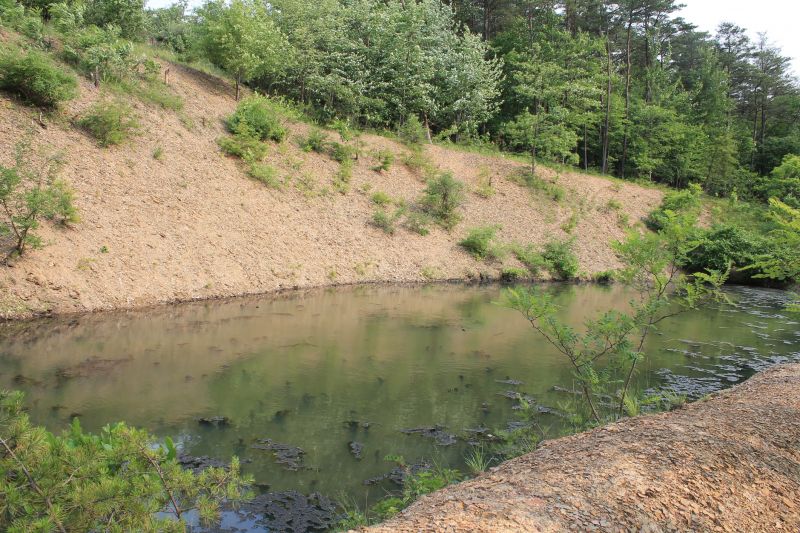 Erosion Damage Repair
