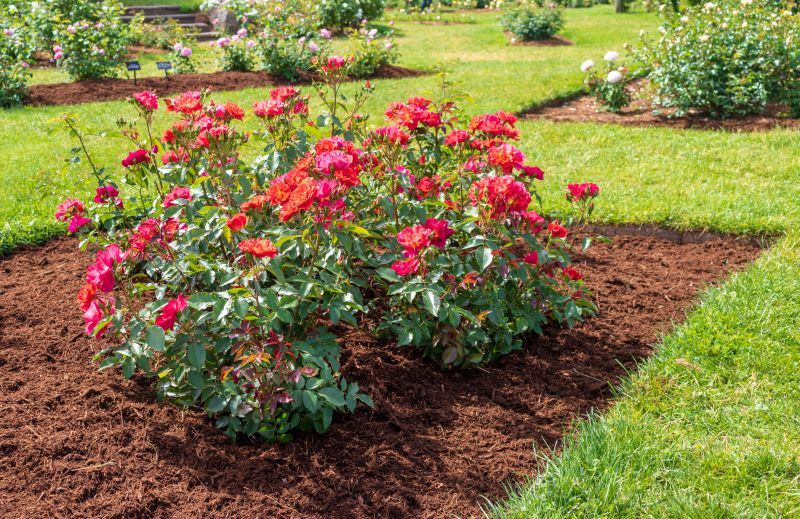 Flower Bed Clearing