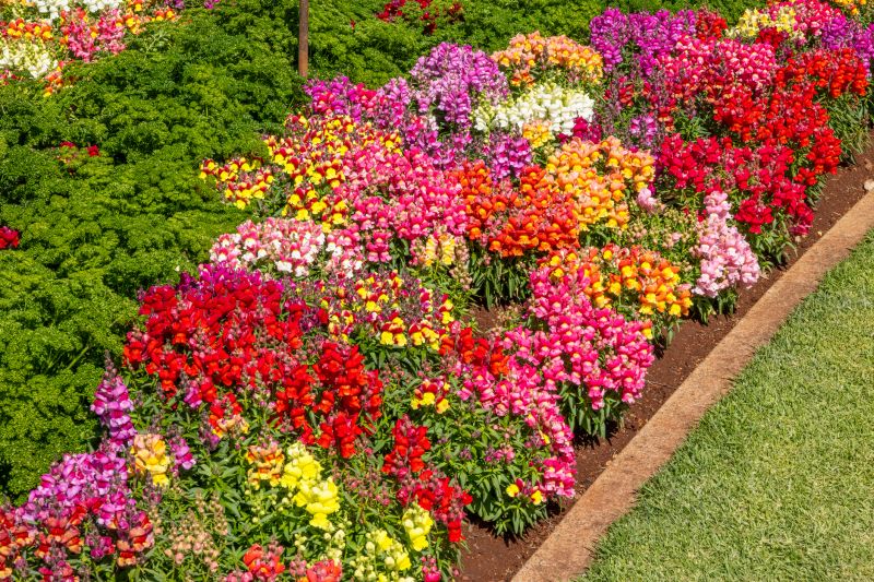 Flower Bed Clearing