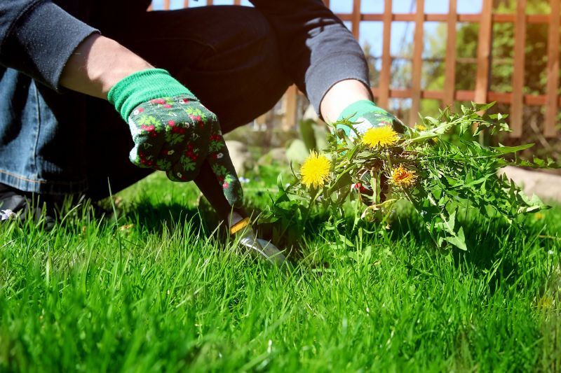 Flower Garden Weeding