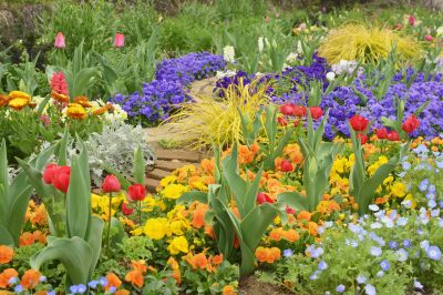 Flower Landscaping