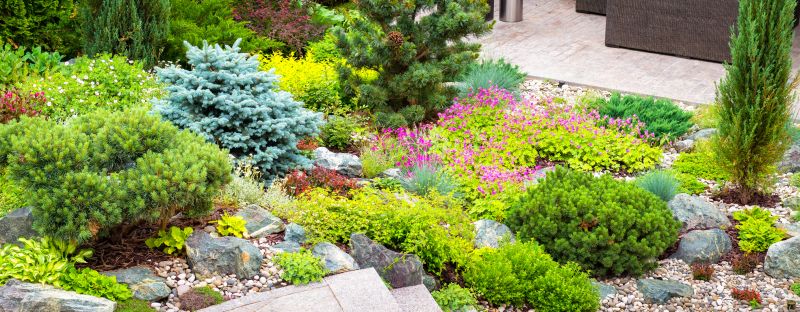 Commercial Mulching detail