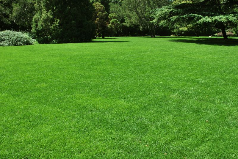 Landscaping Maintenance detail