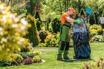 Landscaping Maintenance detail