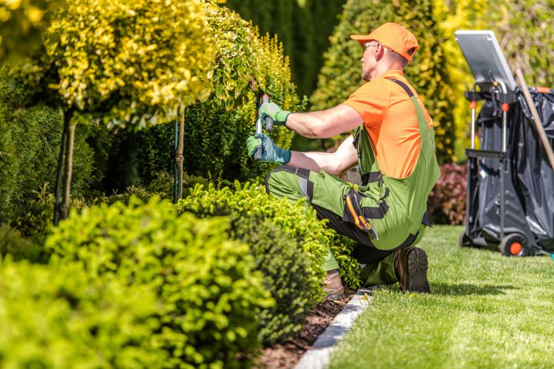 Landscaping Replacement detail