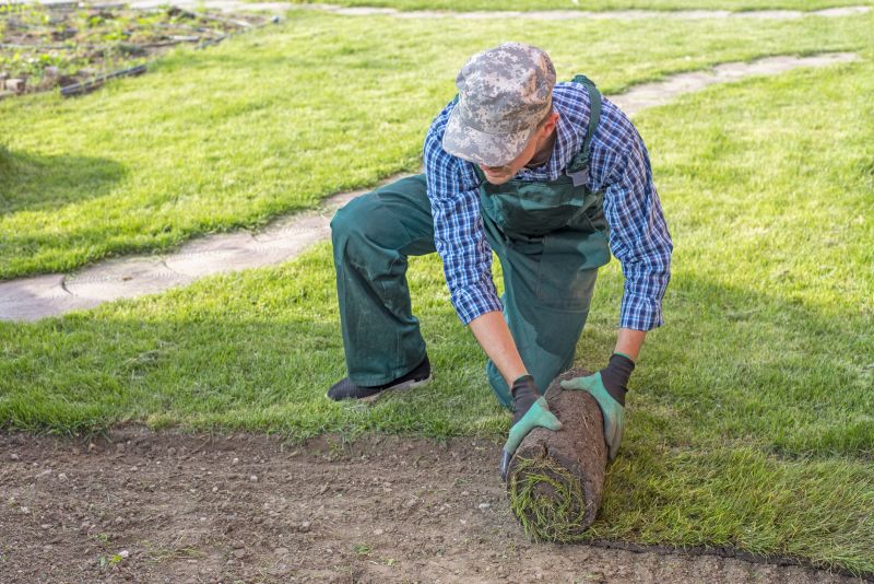Lawn Erosion Repair detail