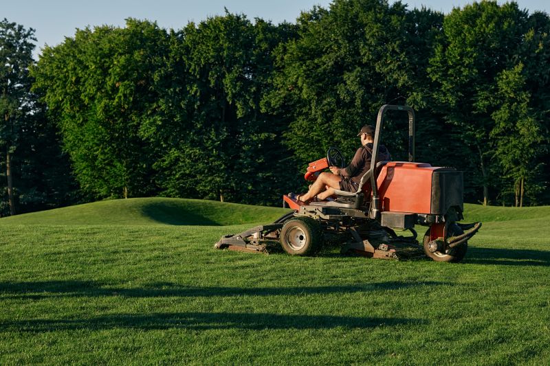 Lawn Repair Service detail