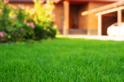 Residential Landscaping detail