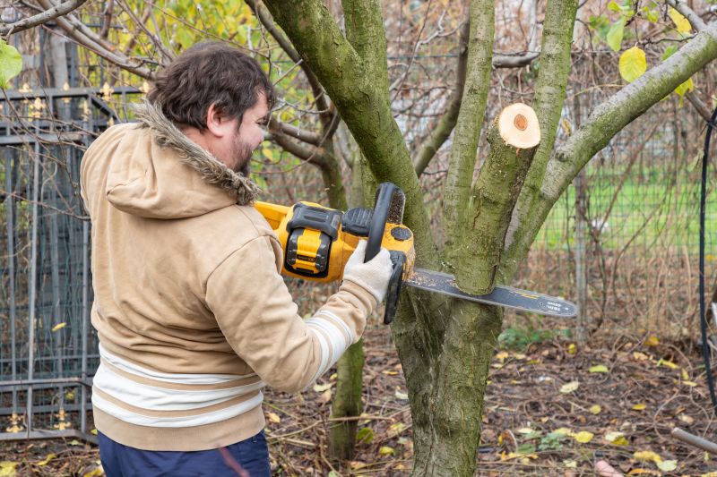 Tree Installation Service detail