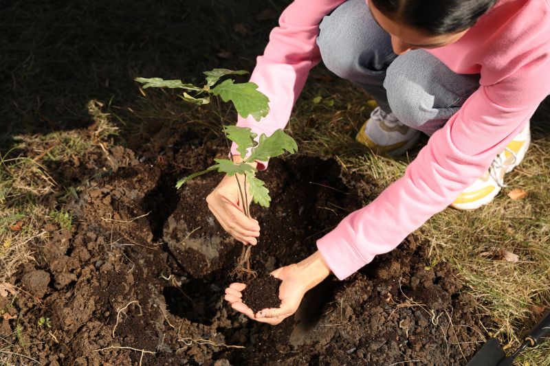 Tree Planting Service detail