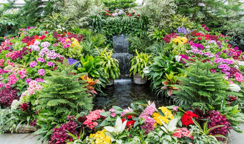Water Feature Landscaping detail