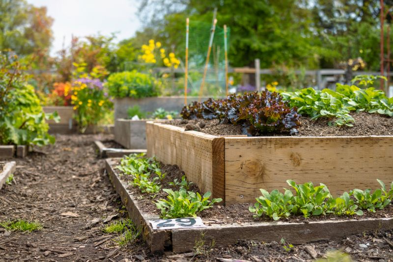Garden Bed Construction