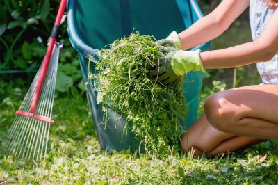 Garden Cleanup Service