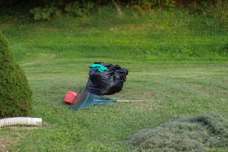 Garden Cleanup Service