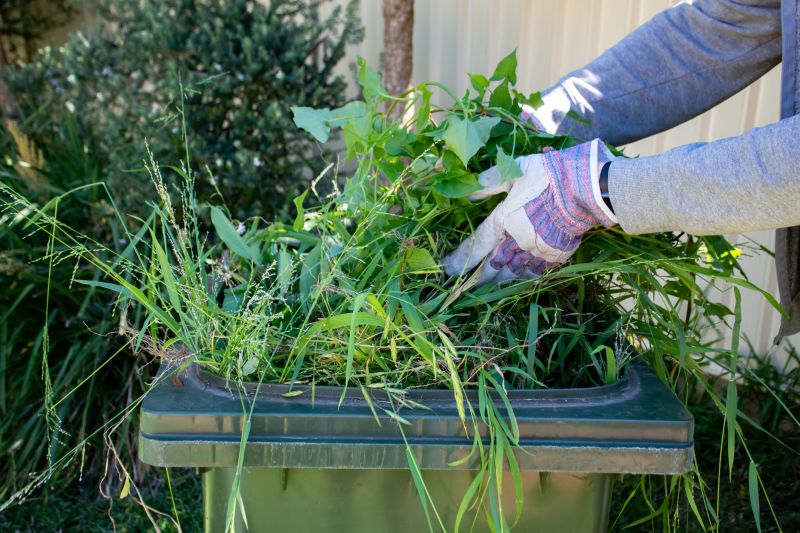 Garden Cleanup Service