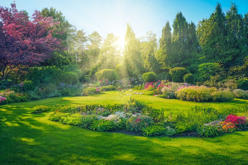 Garden Construction Service