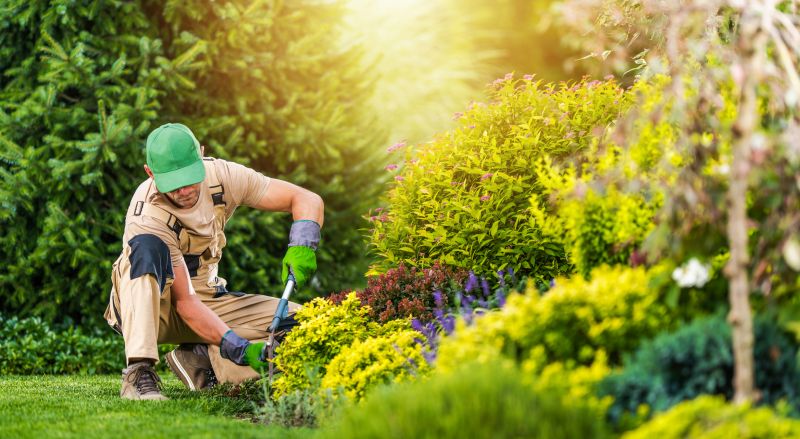 Garden Construction Service