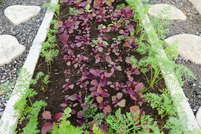 Garden Curbing Installation