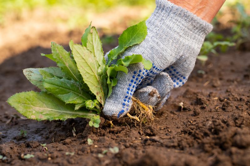 Garden Digging