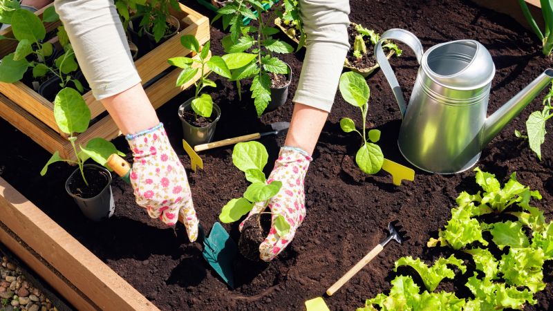 Garden Digging