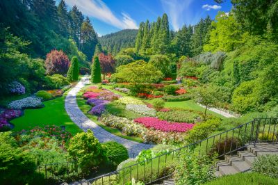 Garden Landscape Design