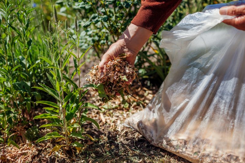 Garden Mulching