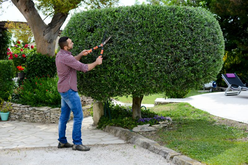 Garden Trimming Service