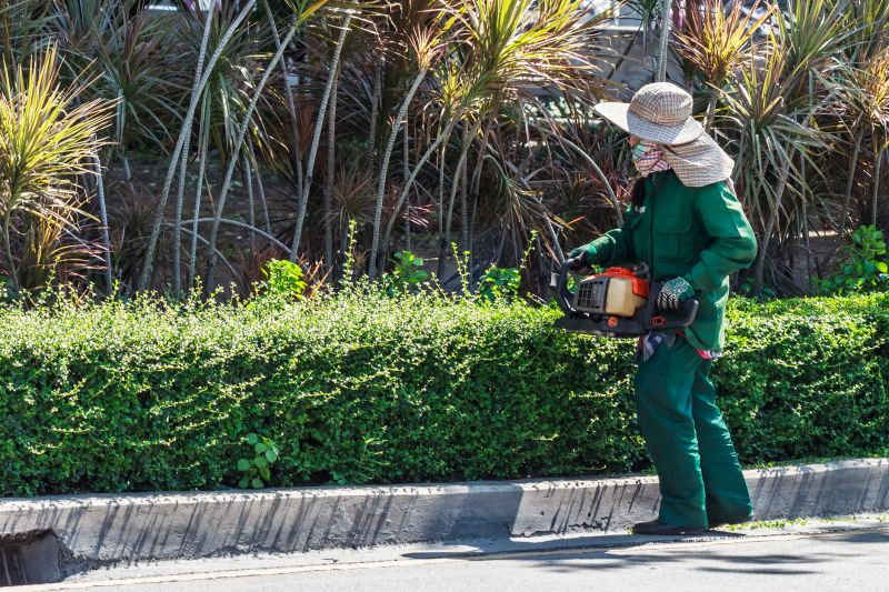 Garden Trimming Service