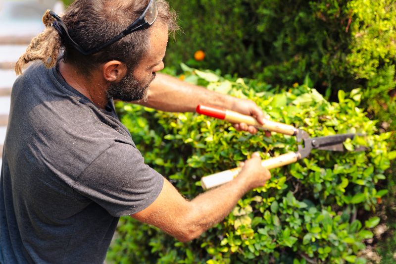 Garden Trimming Service